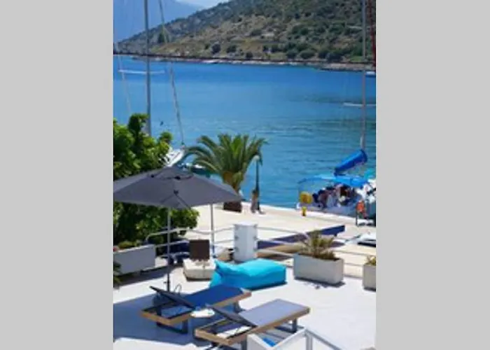 ヴィラ Palm Mansion