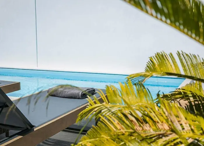 ヴィラ Palm Mansion