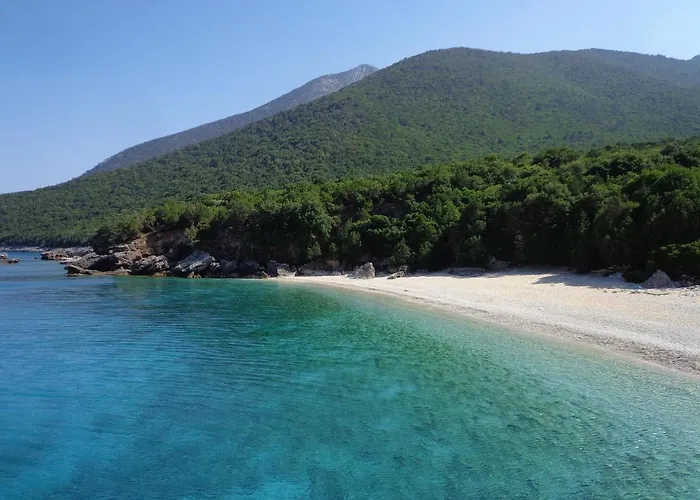 Palm Mansion ヴィラ Agia Efimia